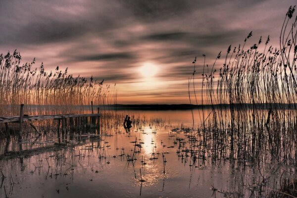 Bucht mit Schilf bei Sonnenuntergang in Schweden