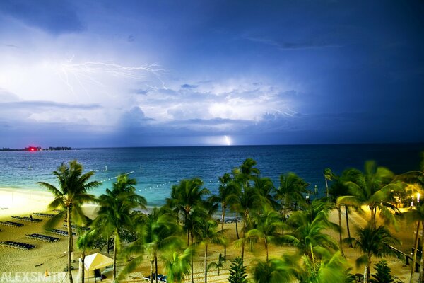 Bahamas palm trees on the seashore amid thunderstorms