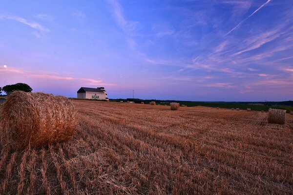 Haystacks on the background of sunset