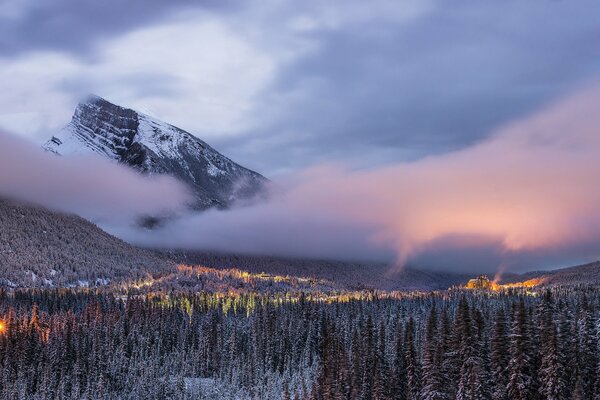 Forêt au pied des montagnes enveloppées de brouillard