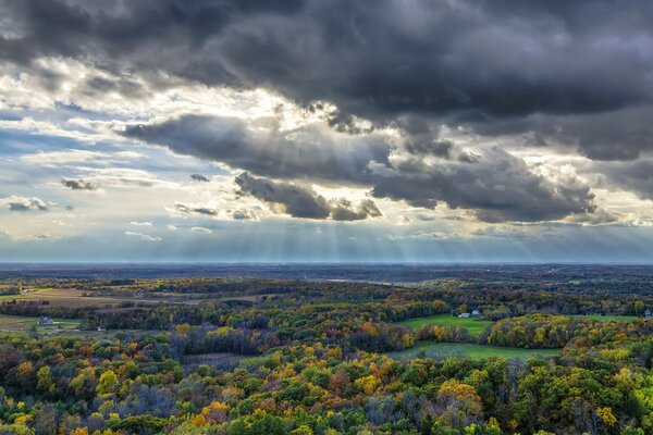 Gewitterwolken und Sonnenstrahlen über dem Wald