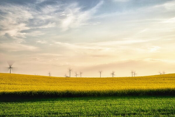 Campo verde amarillo con molinos de viento