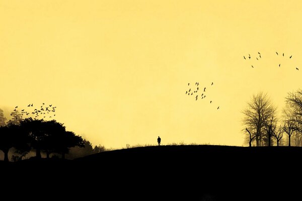 Silhouettes de l homme et des oiseaux au coucher du soleil