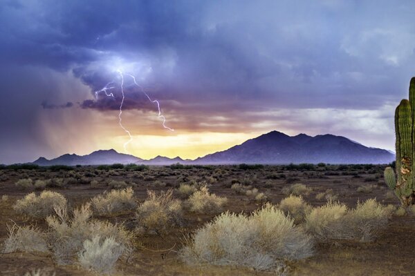 Tormenta eléctrica puesta de sol cactus montaña