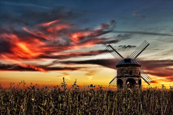 A mill in a field on the background of a beautiful sunset