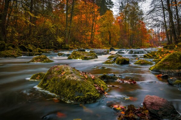 Финляндия осенью, река с камнями