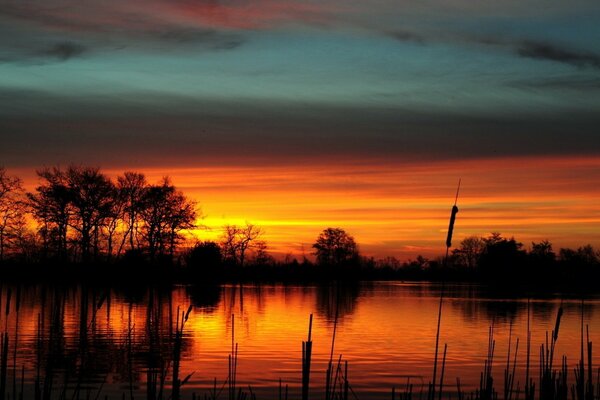 Beautiful sunset on the lake with reeds