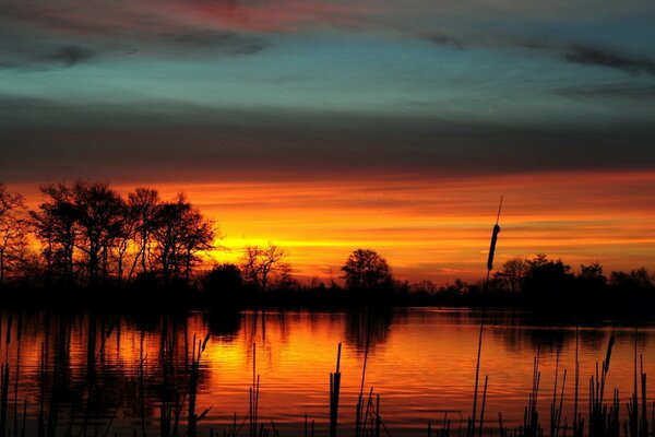 Piękny zachód słońca nad jeziorem z trzcinami