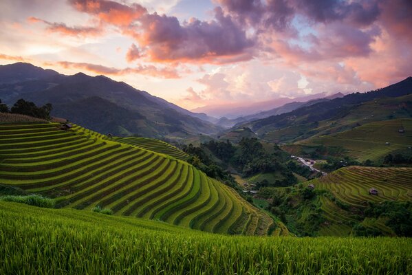 Reisfelder in Asien inmitten der Berge