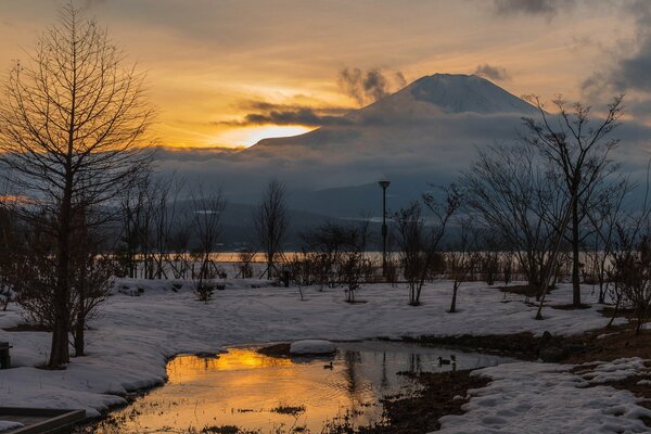 Amanecer en el bosque en las montañas en invierno