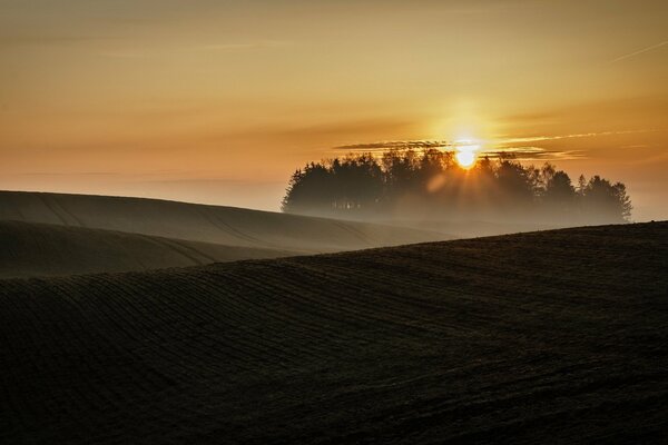 Champ de paysage brumeux dans les rayons du coucher du soleil