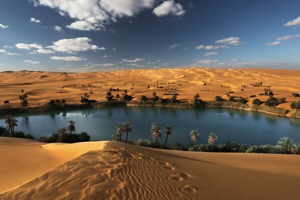 Un oasis en el hermoso desierto del Sahara