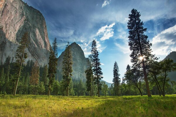 Parque nacional montañas y bosques de Yosemite