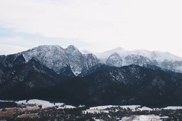 Bäume stehen vor dem Hintergrund eines schneebedeckten Berges