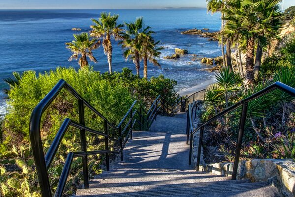 Scala per la costa del mare tra le palme