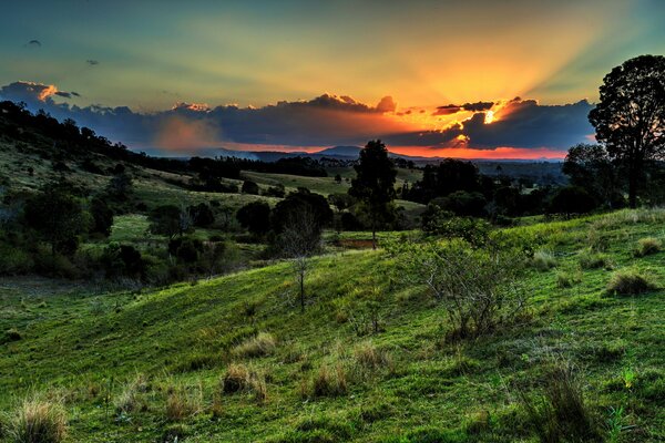 Beautiful sunset over the valley of trees