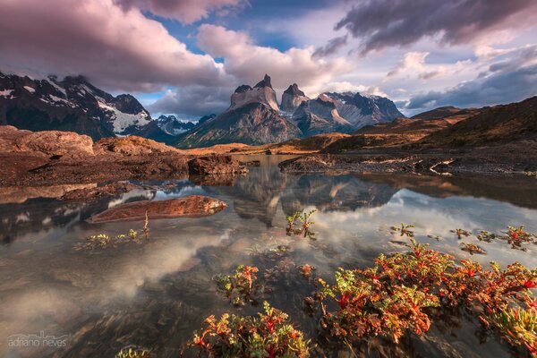 Amérique du Sud en février, Patagonie, montagnes des Andes, parc National de Torres del Paine