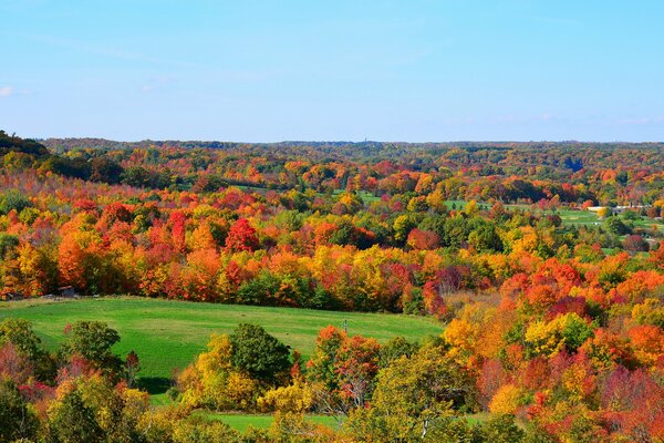 Natura autunnale vestita in un tripudio di colori vivaci