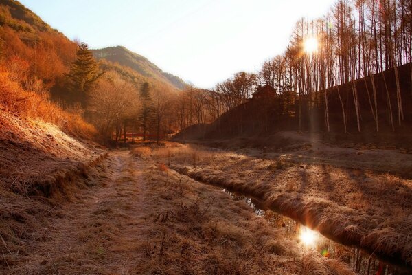 Mattina nebbiosa in autunno in montagna