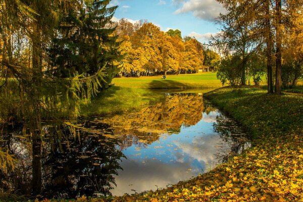 Schöne Bäume, ein Fluss, gefallene Blätter