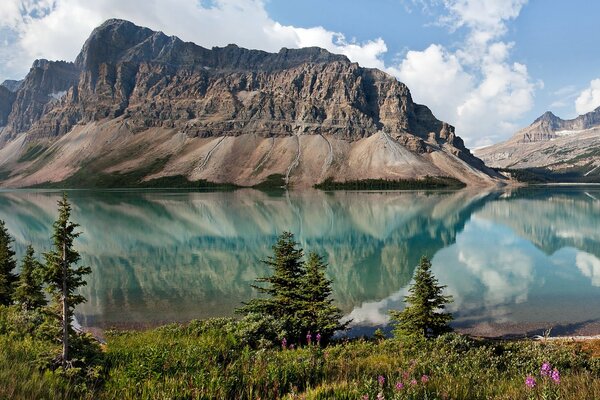 Natura vicino a un lago di montagna in Canada