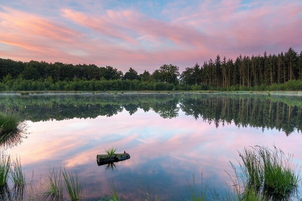 Paysage d été. Le lac serein reflète un beau ciel