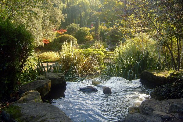 Regents Park de Londres