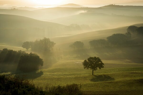 Foggy landscape in the field in the morning