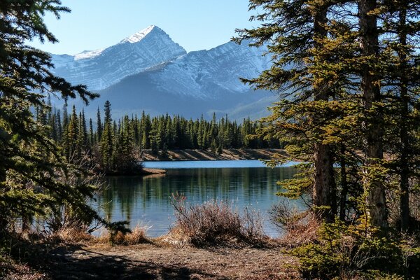 A lake surrounded by forest and mountains