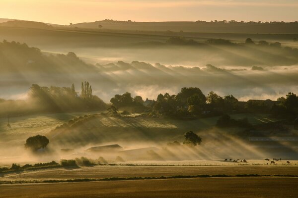 Le brouillard du matin couvre les champs et les collines