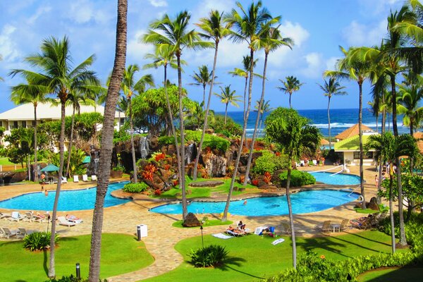 Vacaciones en los trópicos con piscina y palmeras