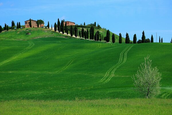 Collines italiennes sur fond de ciel