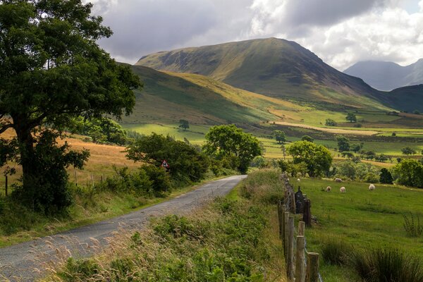 Green Mountains the Way Home