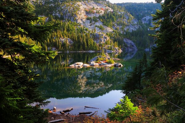 Natura USA. Las wokół górskiego jeziora