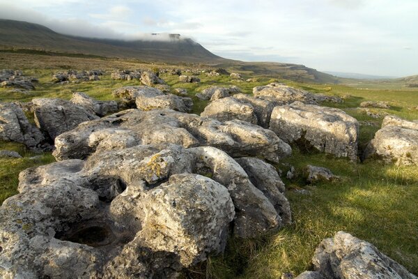 Foto piedras en el campo