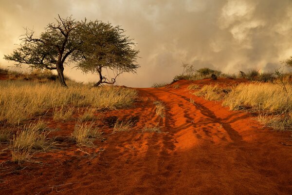 La carretera roja que se extiende a lo lejos de Namibia africana