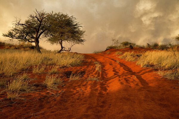 Route rouge partant au loin de la Namibie africaine