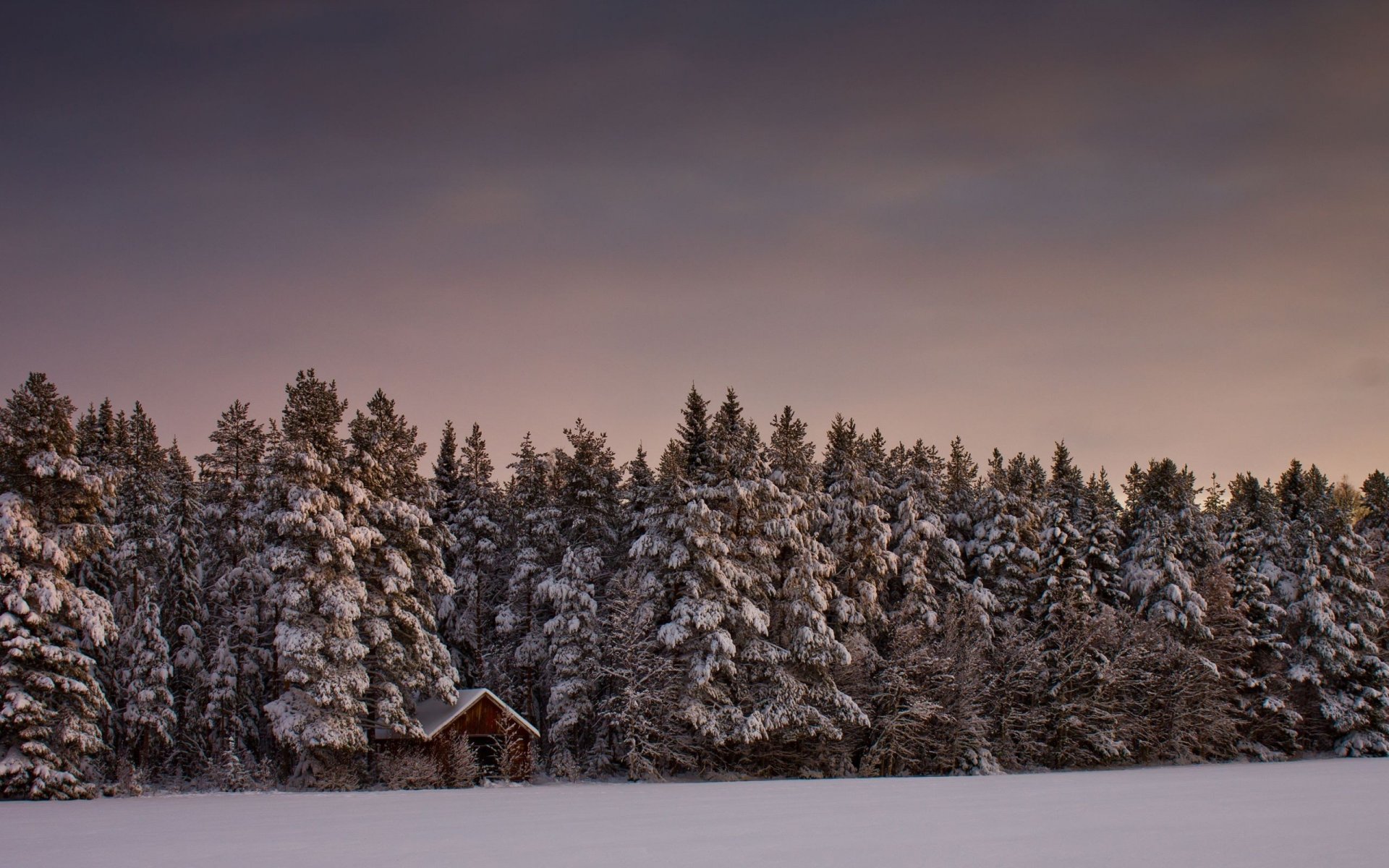 hiver forêt maison neige arbres