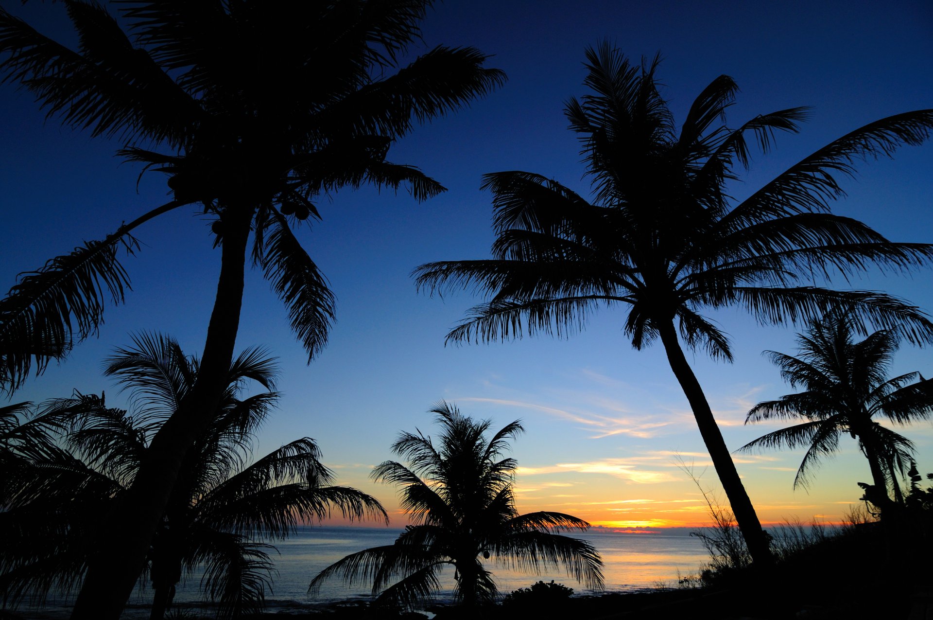 himmel wolken sonnenuntergang palme silhouette meer