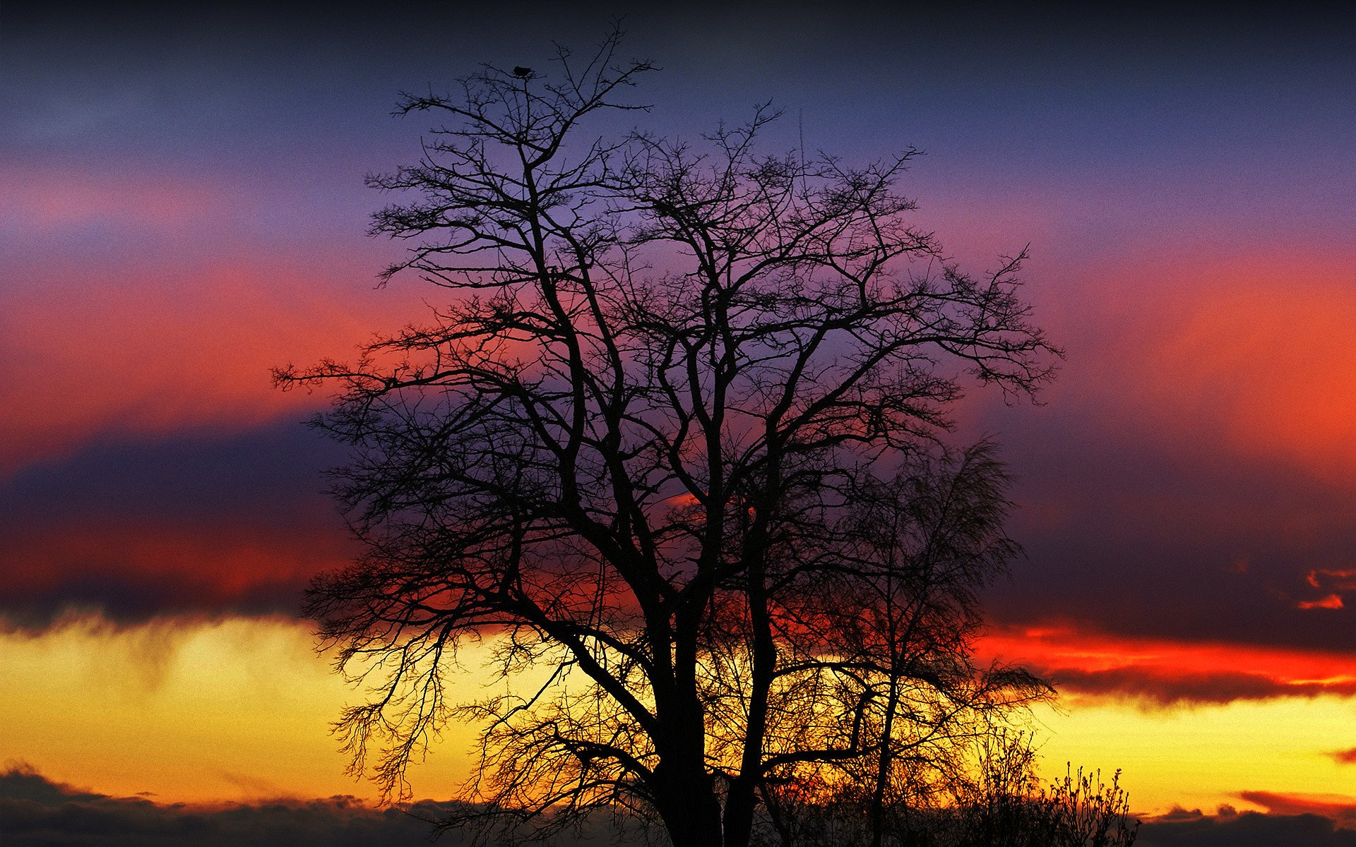 himmel wolken sonnenuntergang glühen baum silhouette