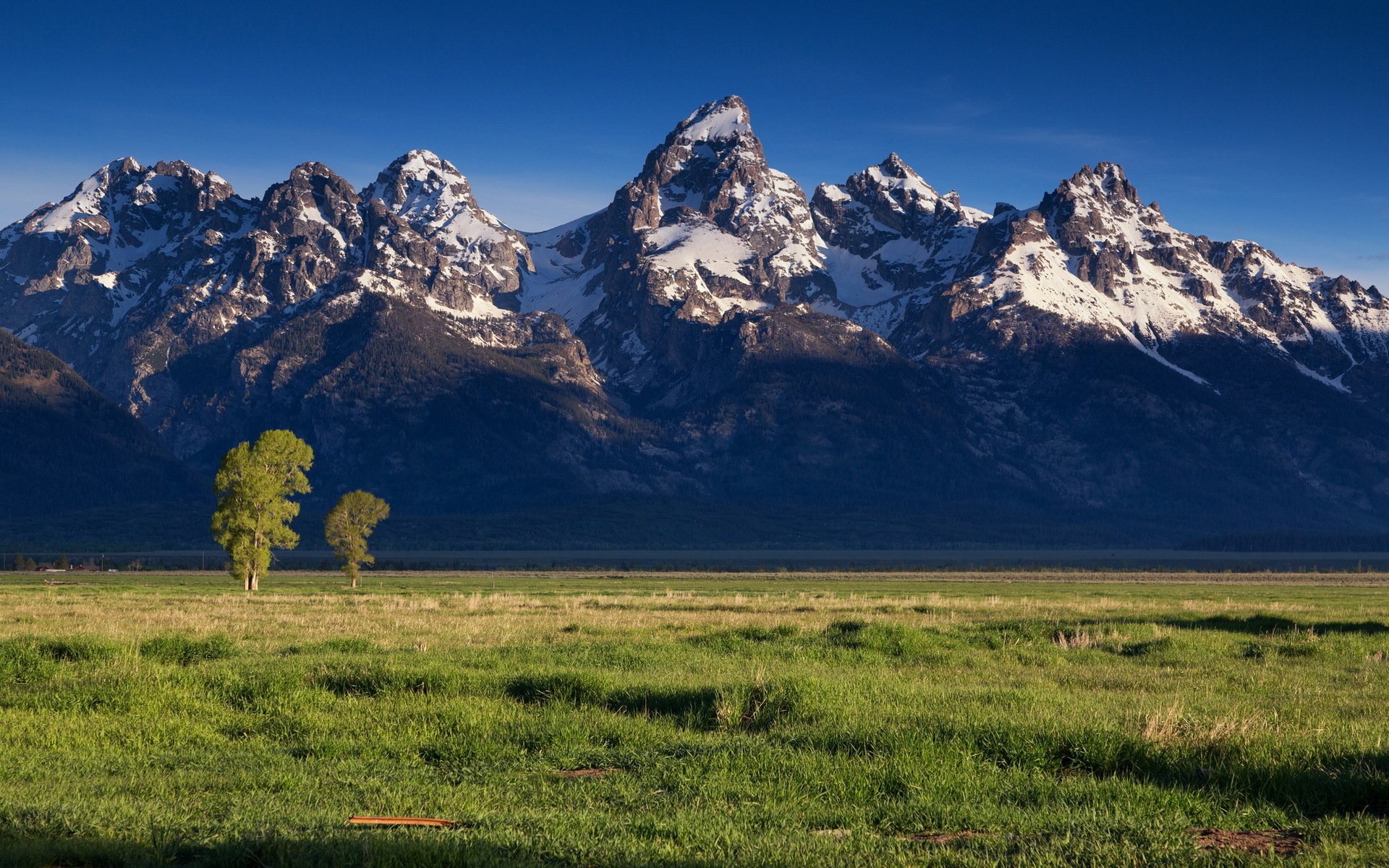 champ montagnes paysage