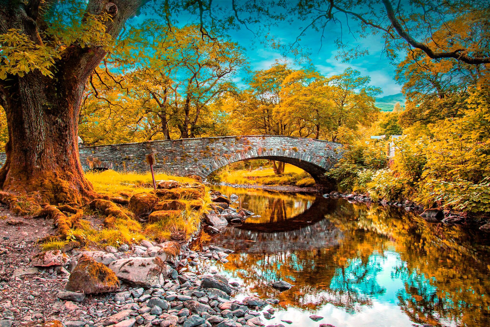 ciel nuages forêt parc rivière arbres pont arche automne