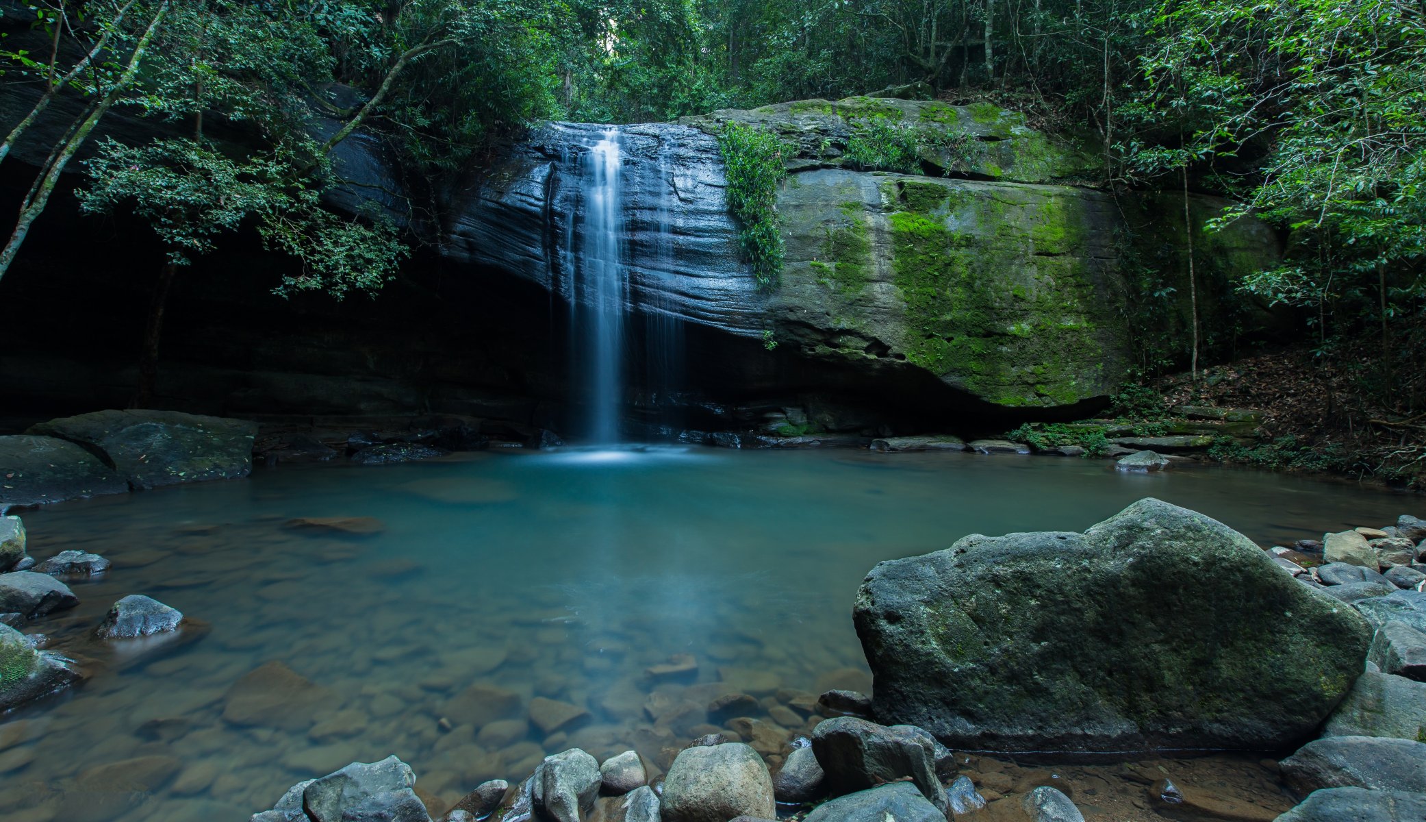 cascada arroyo fondo rocas rocas musgo árboles cielo