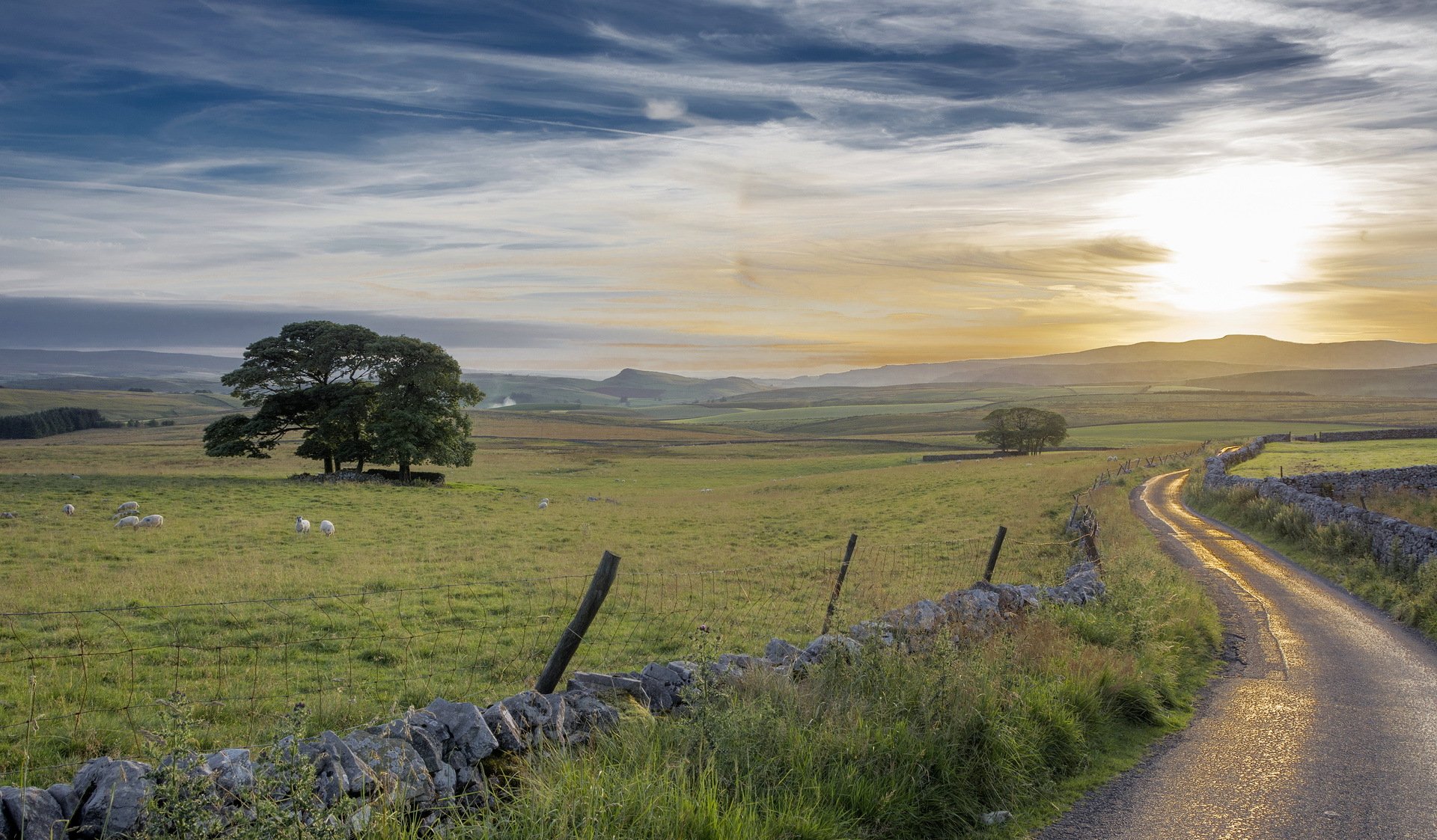 morning road the field fence landscape