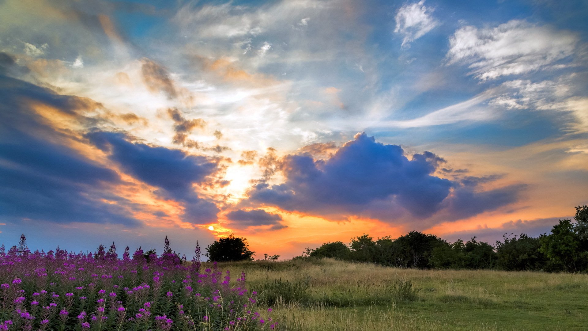 champ coucher de soleil paysage