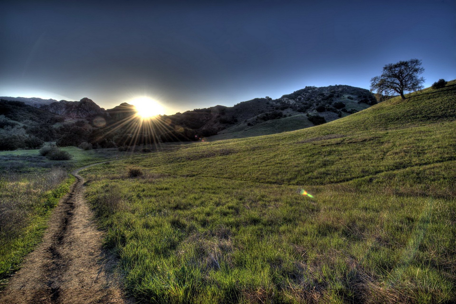 morning the field road landscape