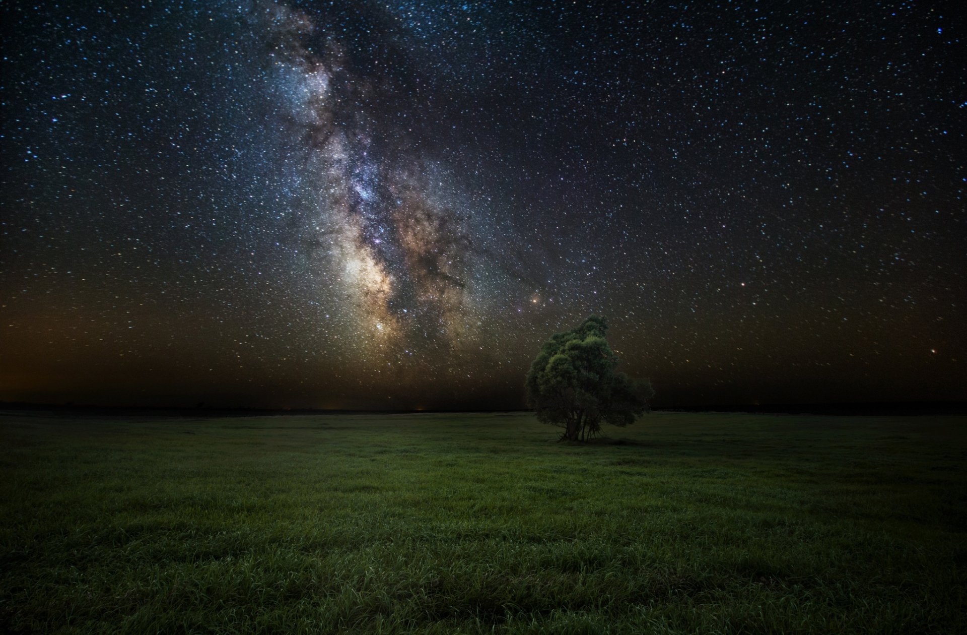 noche estrellas cielo vía láctea campo árbol