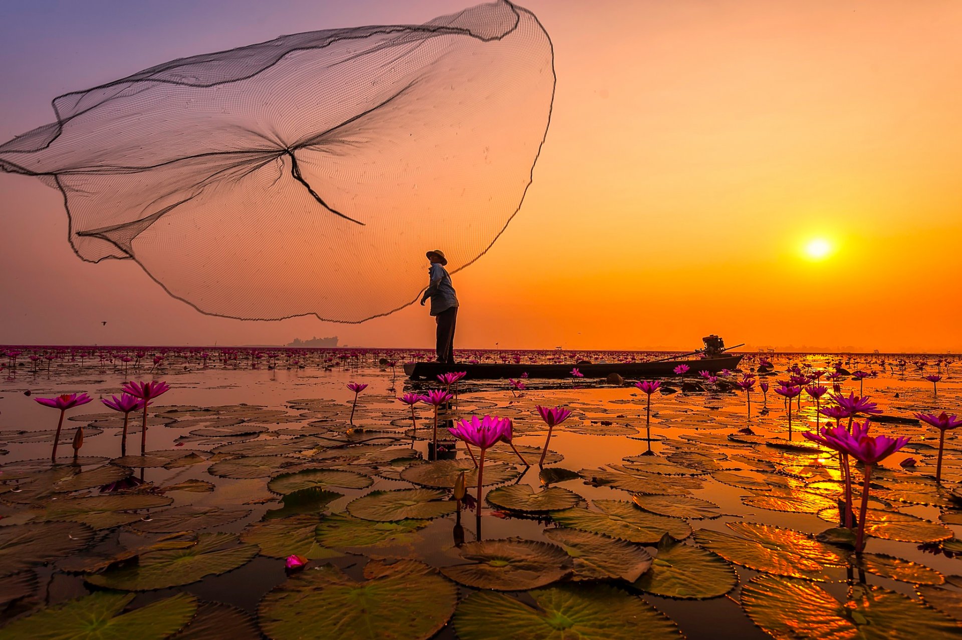 thailandia lago pescatori rete fiori fiori di loto rosa