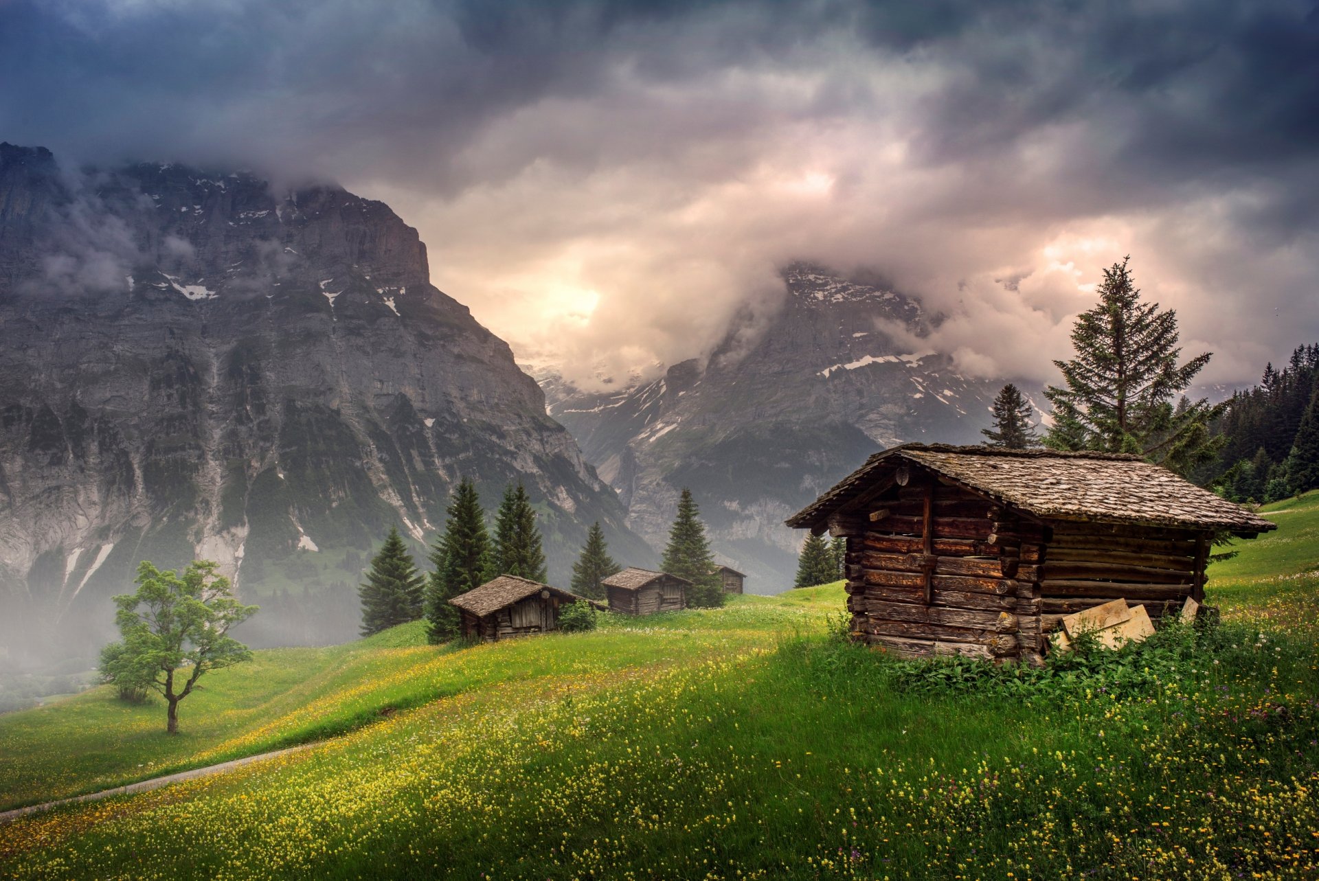 grindelwald szwajcaria dolina