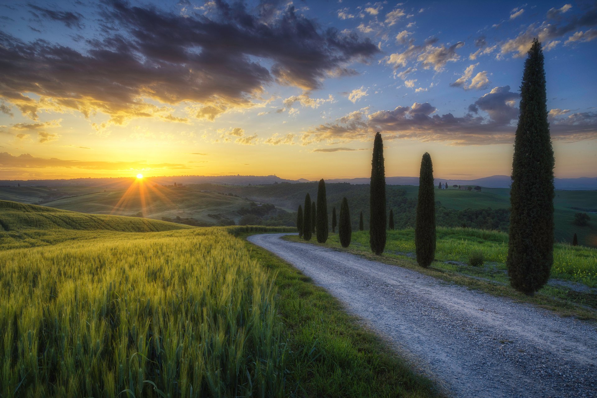 italie toscane matin soleil rayons lumière champs route arbres cyprès